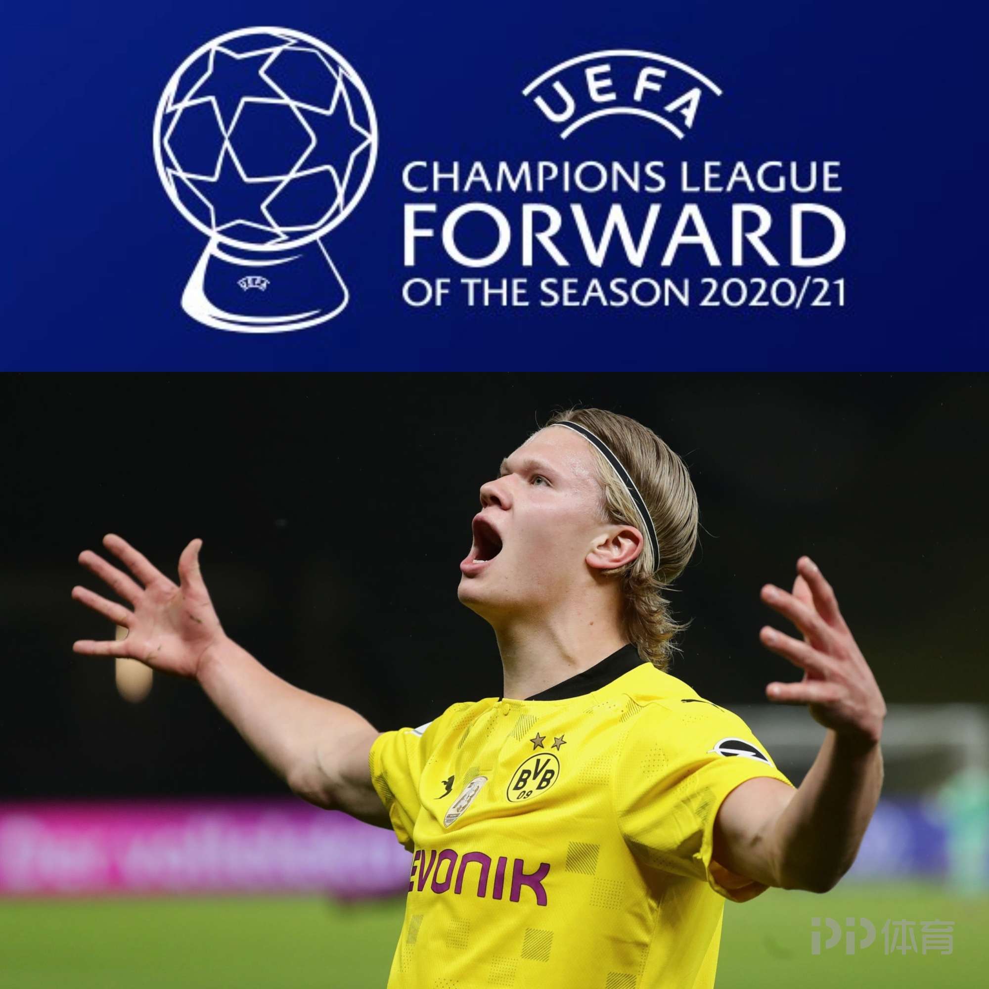 山东则应提 山东则应提